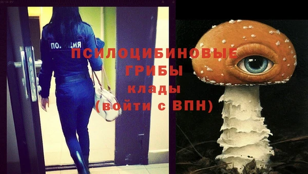 бутират Алзамай