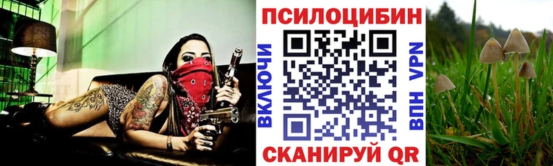 Псилоцибиновые грибы мухоморы  где продают наркотики  Спасск 